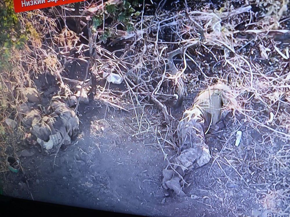 Борис Рожин: Дорога из Угледара.. Убитые ВСУшники, которые пытались вырваться из города через посадки к северу от окраин. Там в посадках много таких брошено