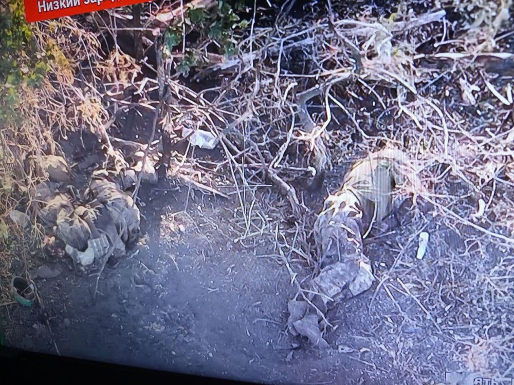 ������ �������: ������������ �� ������ �� �������� ������� ���������� ������������