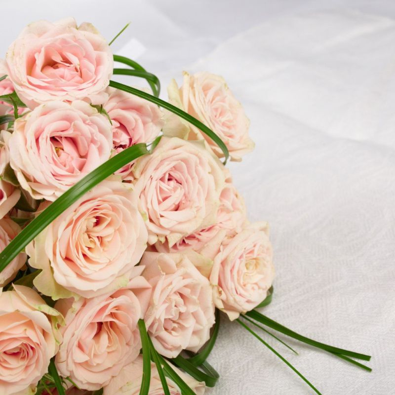 ���� �����������: ��������� ������ ������������!