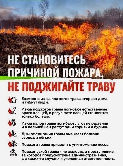 ������ ����� ����� - �� �������