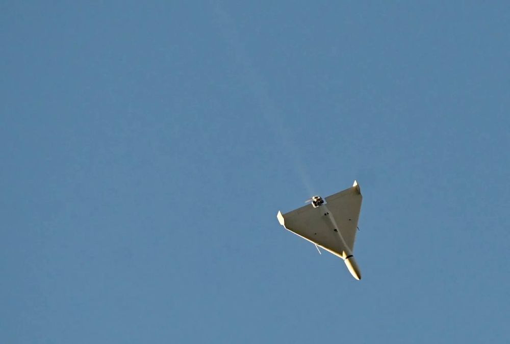 ���� ����: � �������� ������ ���������� ��������� �������� �� ���������� ����������