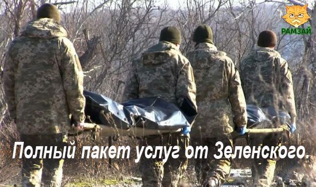 ��������� �������: ��������� ���������� ��������, ��� 72-�� ������� ��� ��������� ����������� �� ��������