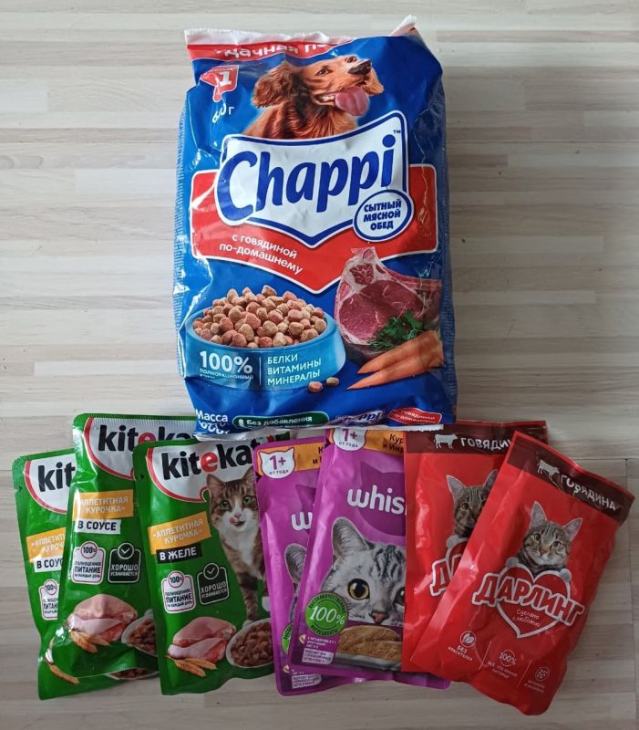 ���� ������: ����� ������ ���������