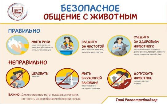 �������� ������� ��������� ��� ����������, ��������� ������ � �������� �������� ���������, � ���������� �������� � ���� �� ������ ������� �������� ������ ������ � ������� � ��������� ���������