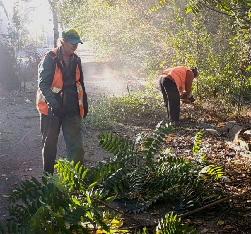 ���� ������: ����������� ��� ��� ����������� ������������� ������ ��������� �������� ������ �� ���������������