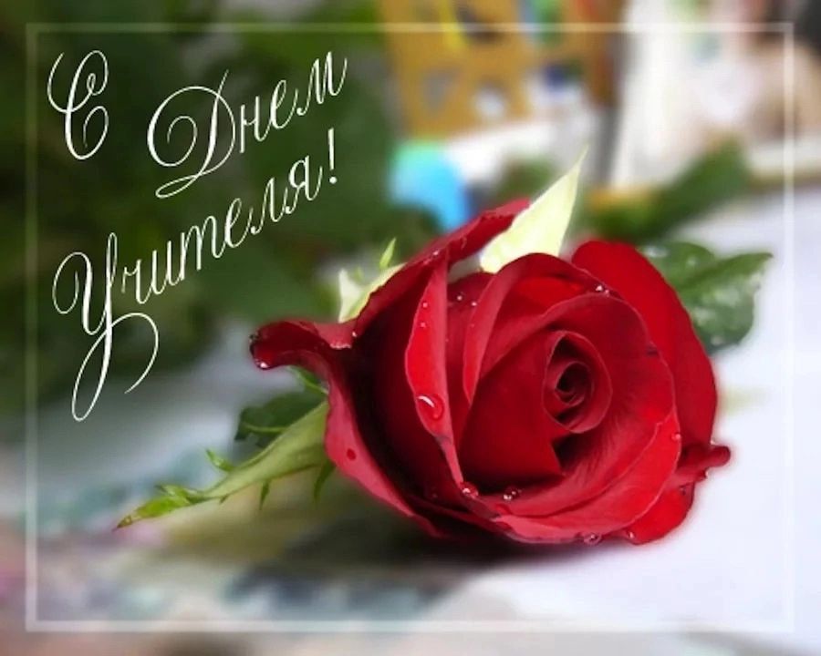 ��������� �������: ������� ������ ����, ����� �� �������� ���� ������� � ��������, ����������� ���, ��� ����� ���� ������ � ��������� ������� ������ ��������