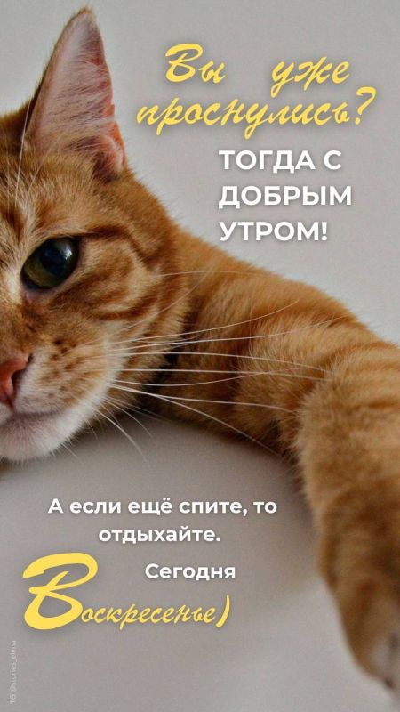 ������ ����!. �������� ��������� ���! ����������� ���� �������������
