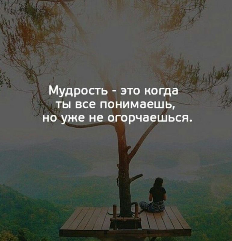 ������ �����. ��������� ���������-24