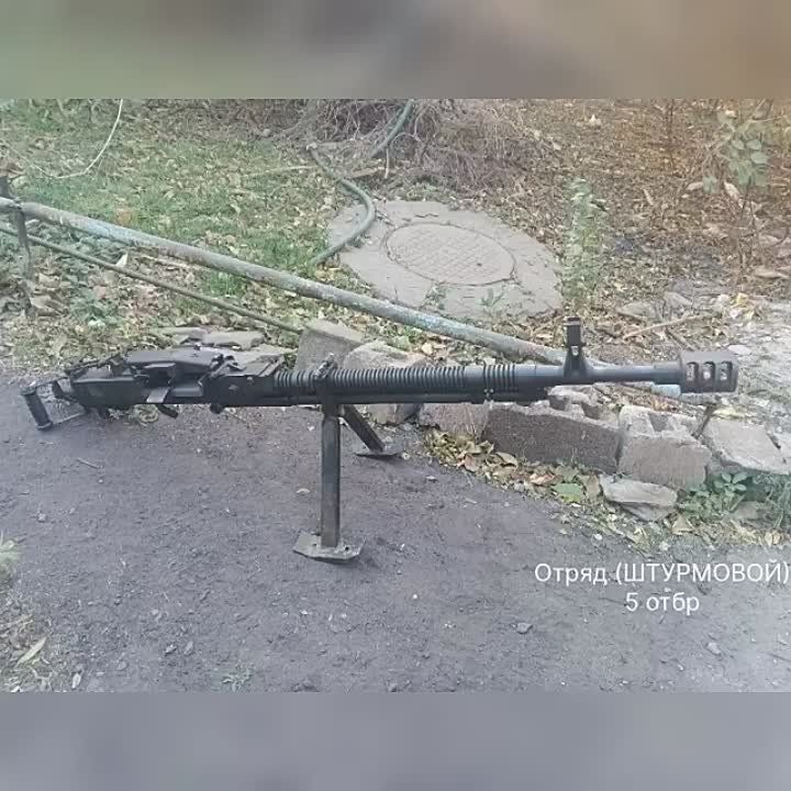 ����� �����: ������� �� ������� ����