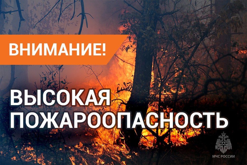 �� ������ ���� ����� �� ��л, 9 ������� � �������� �������� ����������, ����� ������-��������� ������� � ���������, ��������� ������������ ��������������� (5 �����); � ��������� � ������� ��������������� (4 �����)