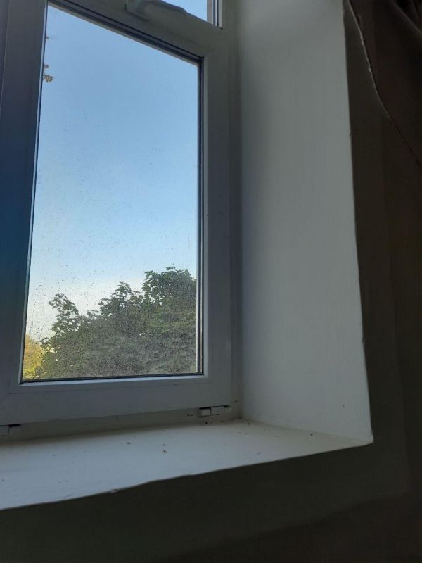 ��������� �������: ������ ������ ���� � ��������� �����������