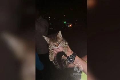 ���������� ��� � ������ ������� ������ �������, ����������� � ��������