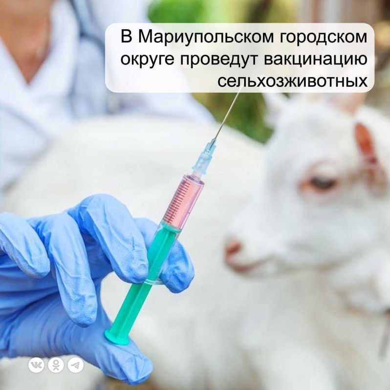 � ��������� � �������� � ��������� ����� ���������� ������� �������, ��������� � ������ ���� ���������� �������� ��������...