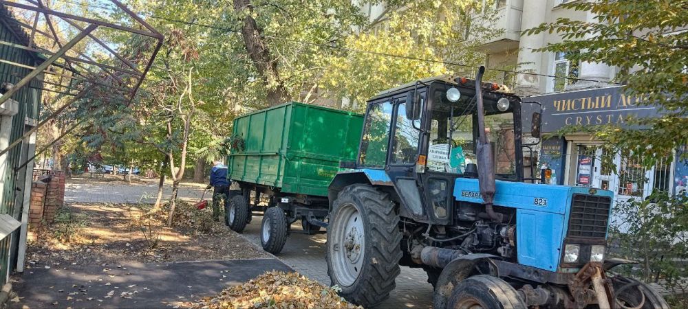 Василий Ткачук: На территории Калининского внутригородского района города Донецка продолжаются работы по очистке опавшей листвы с использованием специальной техники – паркового пылесоса