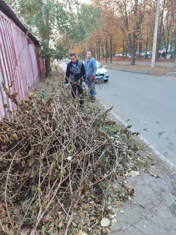 ���� ������: �������, 10 ������� 2024 ����, � ������ ���������� ����������� "������ �������" �������� ��������� � ������������ ���������������� �����, �������� �������� "�������" � ���������� ��� "���" ��� 27 ��������� ������ ��������� ������� :