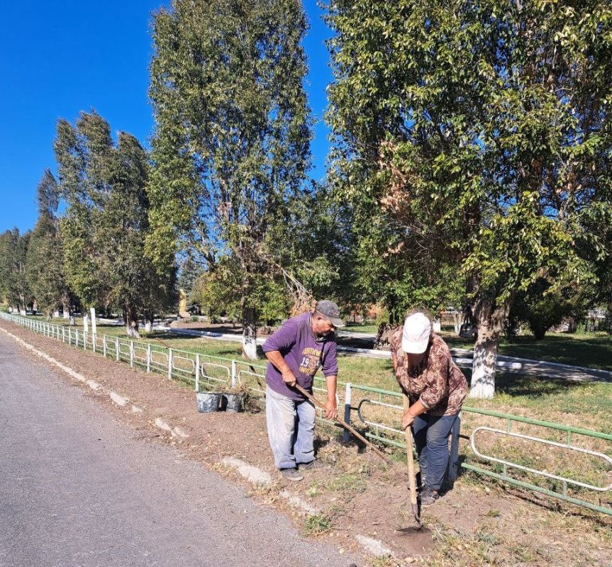 ������� �������: ��� � ��������� ����� ���������� ������� �����������