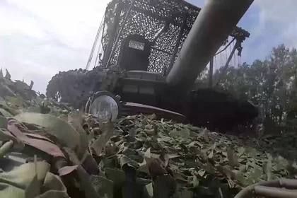 ������� ������ ������������ ����������� ��������� ����� �� �� ��� ���������