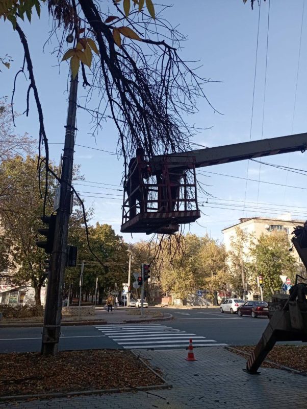 ������� ������: ������ ��� ��� "����������� �������� ������������ ������ �.�������" ��������� ������ �� ������������ � ����� ��������� �������� �� �������: