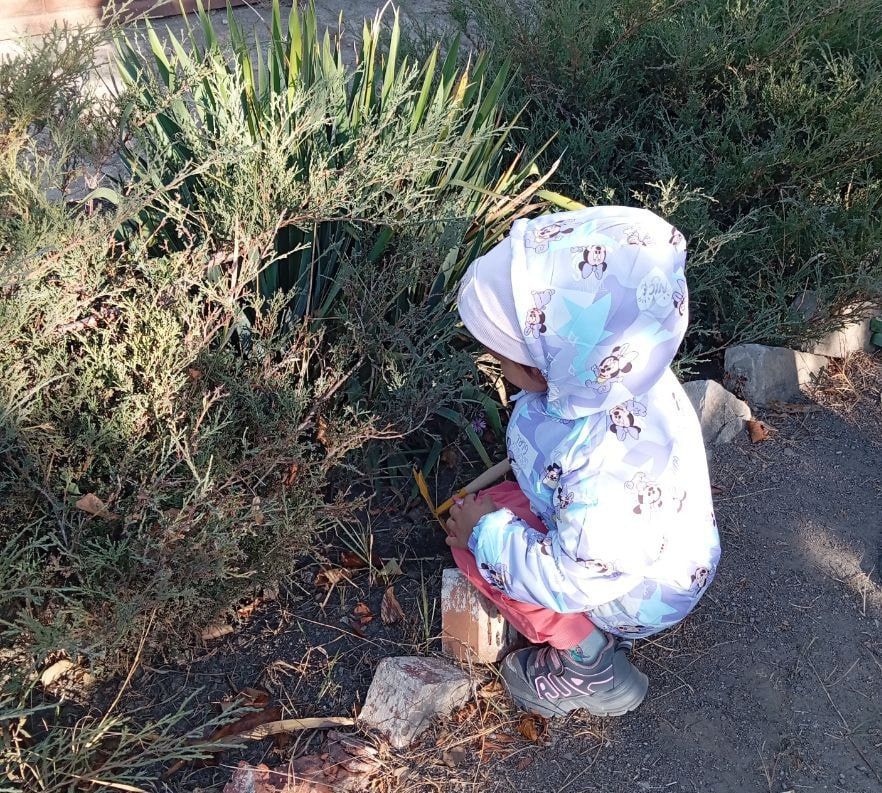 ���� ������: � ������� ���� ������ ������� ������� � ����������� ������, ������������ �������, �������� � �������� �������������, ����� �� ����� ������ ������