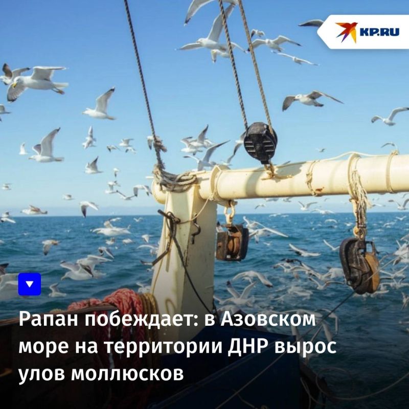 � ������������ ������ ��������� ����, �� ������ �������� � ��������� ��� ����� ���, ������ ��������� ������� ����