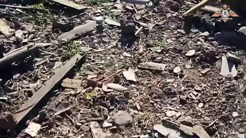 ����� �����: �� ����������� ����������� �������� ��� ���������� ���� ���