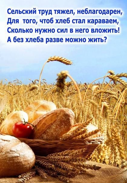 ����� �����: 13 ������� � ���� ��������� ��������� ��������� � ���������������� ��������������