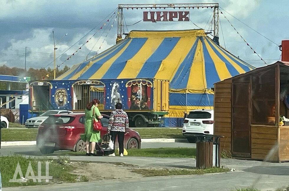 ���, ����, �����, ����� �������: ������ �� ���������� � �������� �������������