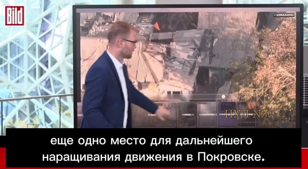 ������� ������� Bild ����� � �������� ������������ ������ � ���������� ��� �� ���� �������: ��������� � ������ ������������ ����� �������������� ��� �������