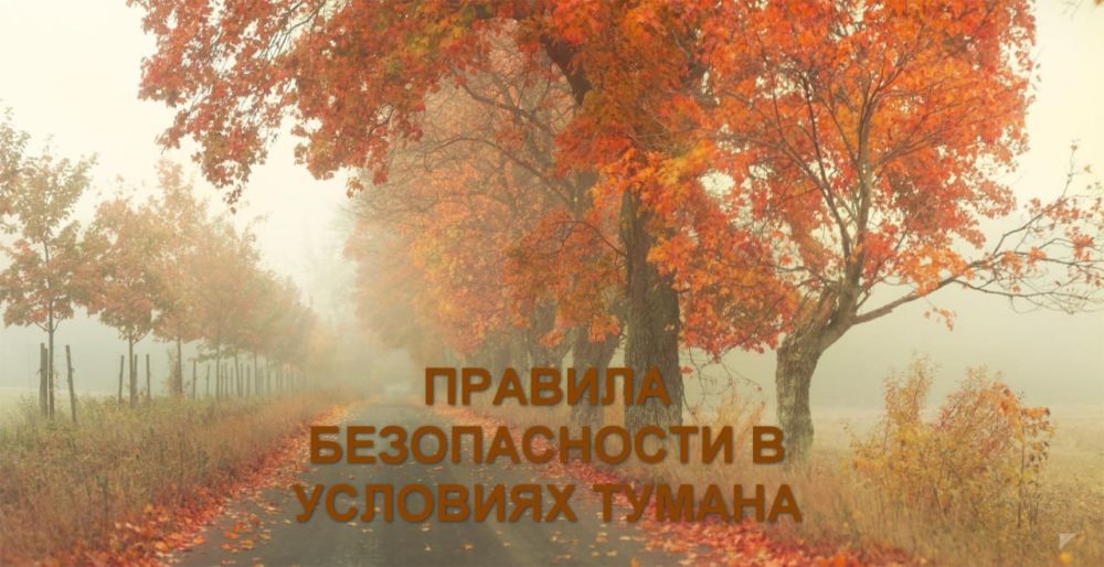 ����� �����: ������� ������������ � �������� ������
