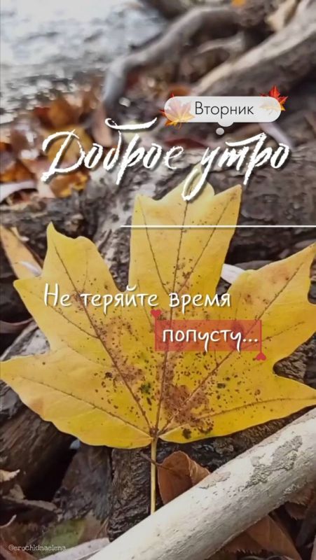 ����������� ���� �������������