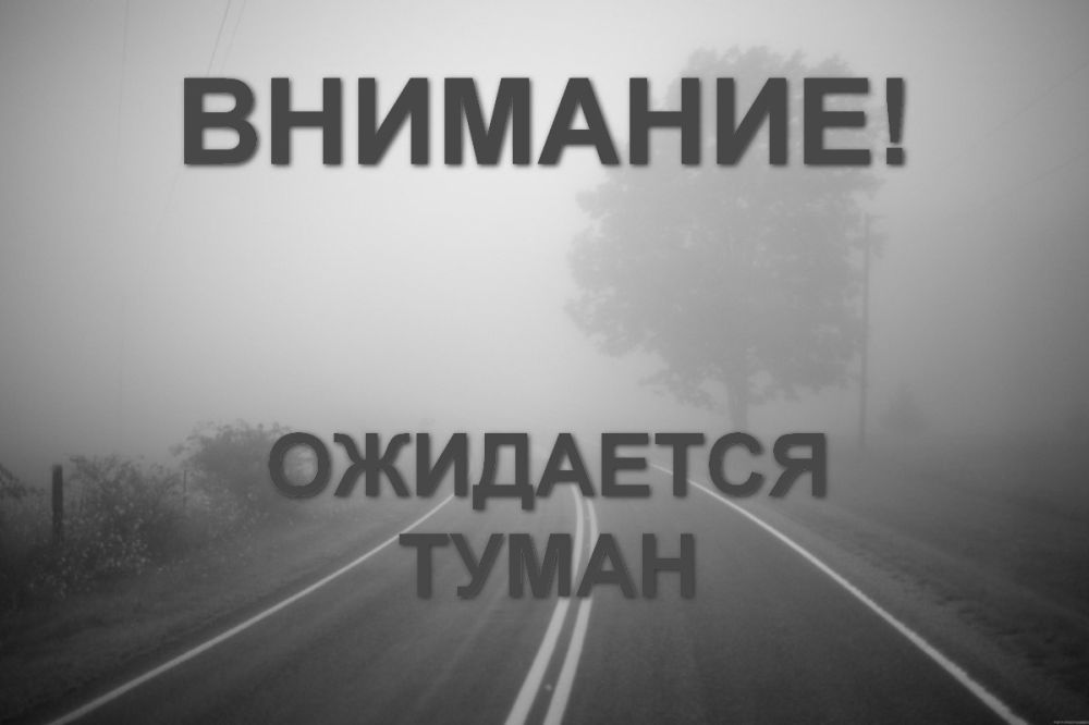 ����� �����: ��� ���: ��������� �����