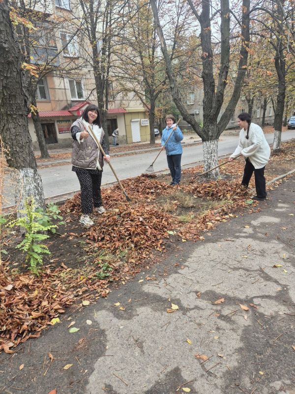 ������� ������: ���������� �����������, ���������� � ����������� ������������ ���������������� ������ ������ ������� �������������� � ������������� ����� "������ �������"