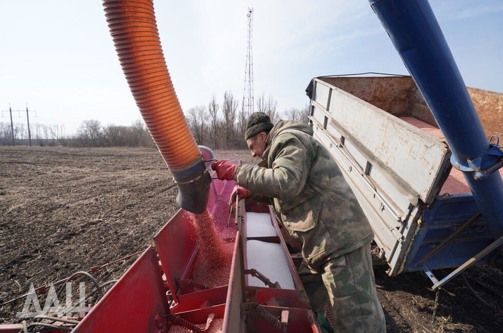 ������ �������� ����� 17 ���� ������ �� �������� ������������ ��������