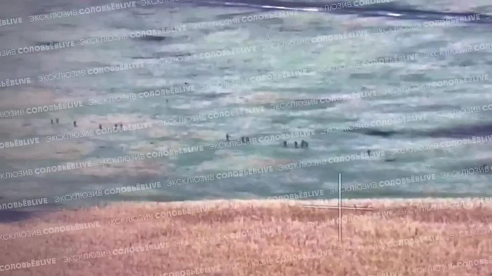 ���� ��������: ����� ������ ��������������� ������� �� ����� �� ������� �������