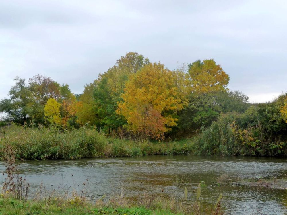 �������� ������: 30 ��������� ������ �������� ����������� ������������� �� ��������� 9-������������� ������� ���� �������� � ����� ��������� ������� ������, �������������, ����������� �� ��������