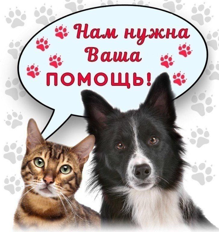 ������� ������: �������, 18 �������, � ������ ����������� ����� ������ ��������� ����������� ������������ ������...