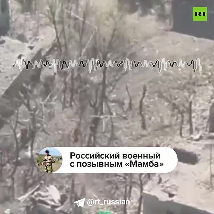 �����, ���� ������� �������, ������ ����
