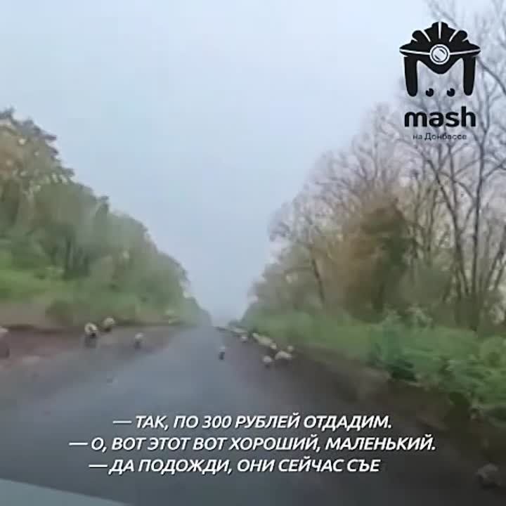 ���������� ����� �������� ���������, � ������� ��������� ��� �� ���������� �����������