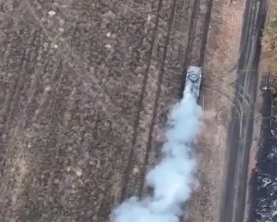 ����������� ����������� �117 � ���