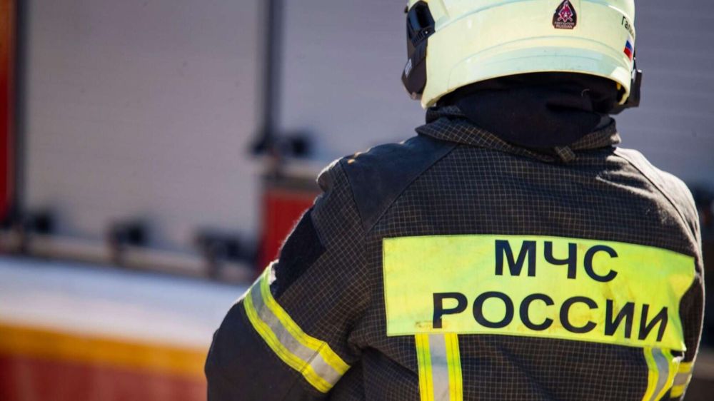 � �������� ������� ����� ����� ���� ���������� ������ - ����������