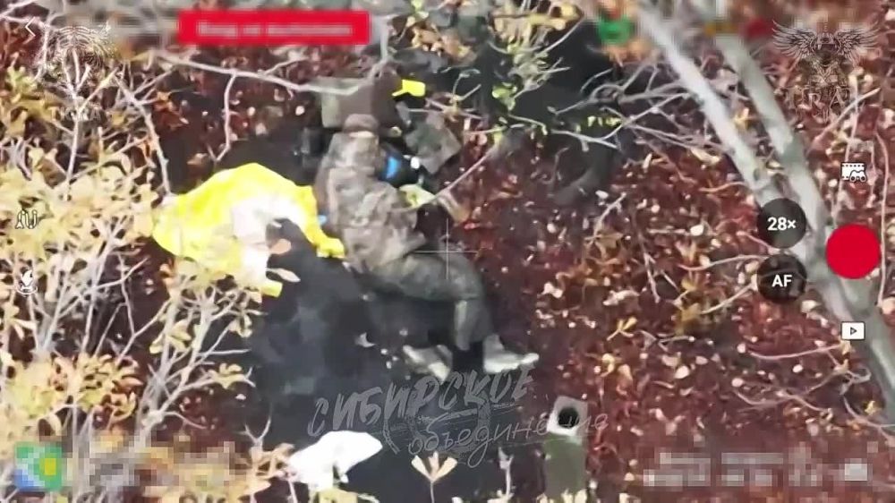 Группа Тигра бригады Урал и коллеги Агрессора нанесли сокрушительный удар по штурмовой группе 425 батальона "Скала" ВСУ, пытавшейся закрепиться в районе шахты Новогродовская-3