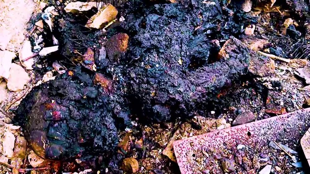 Борис Рожин: Разгром 425 ошб ВСУ "Скала" на Покровском направлении