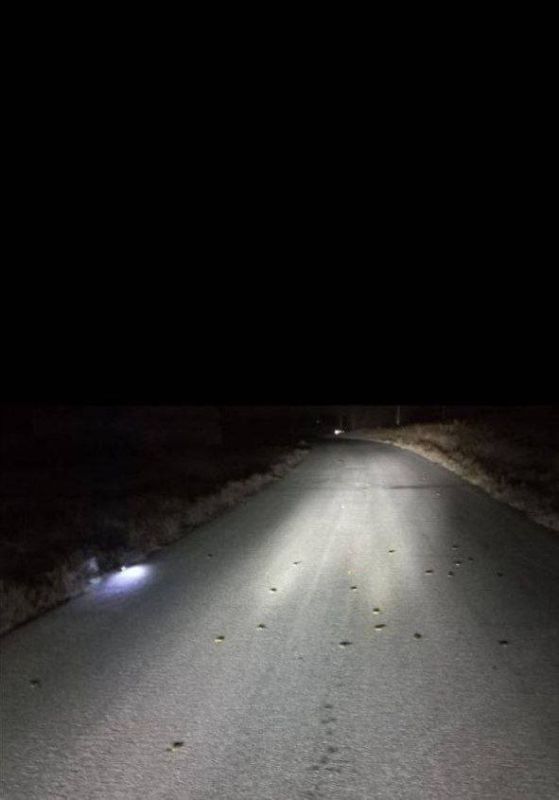 WarGonzo: �������� ������������ ��������� � ������������ ������