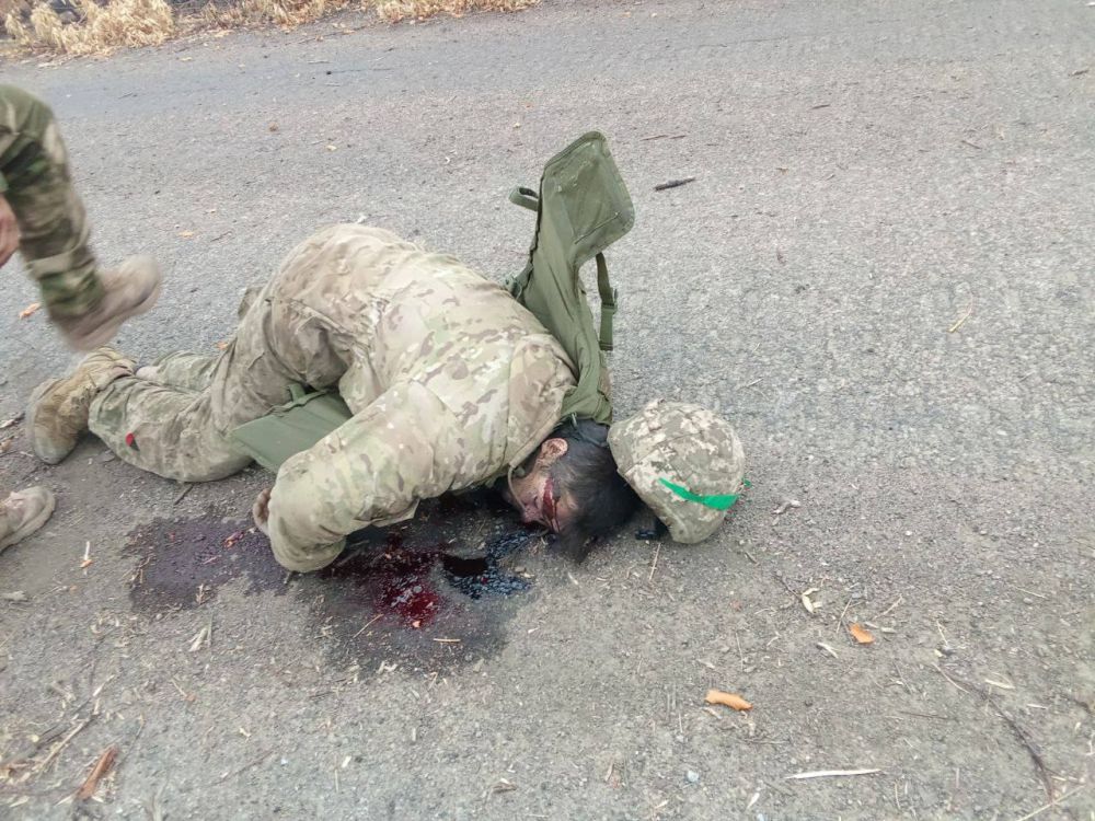 ����� �����: � ������� ������ �� �����������, ������� �������� ������ �������� ���������� � ����������� ��� � ����