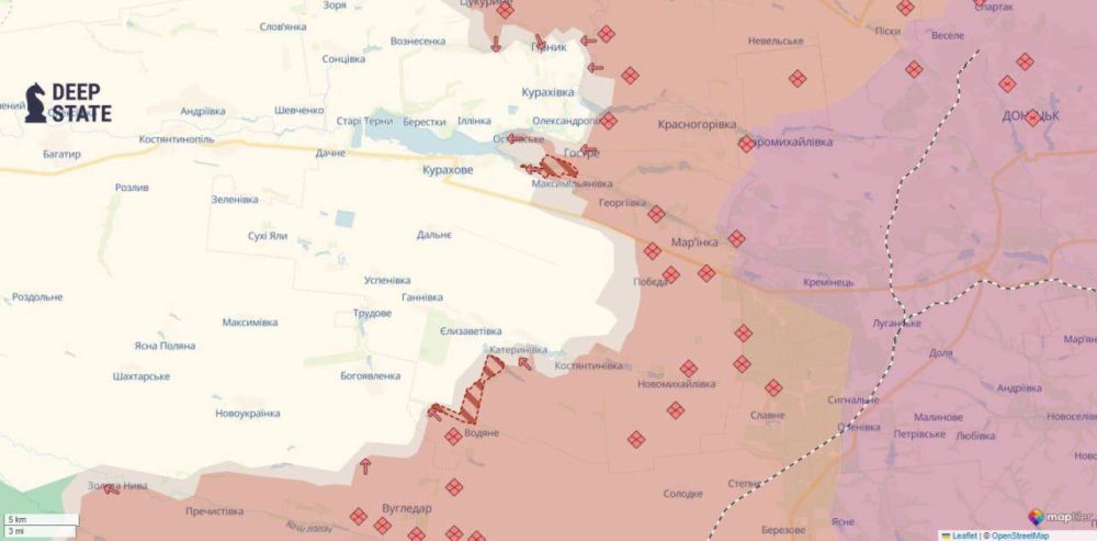 Юлия Витязева: ВС РФ продвинулись возле Нелиповки, Курахово, Водяного и в Лисовке Донецкой области