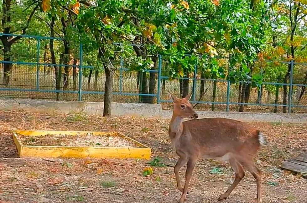 � ��� �� ������� ��������� ��������� ����� ���, ���� � ������