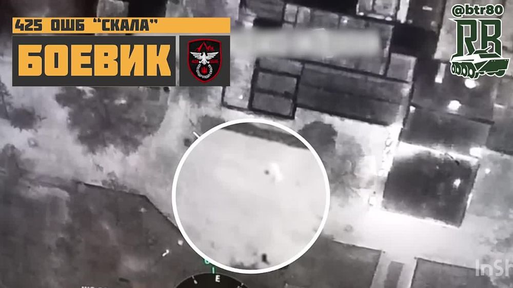 Российские дроноводы не прекращают охоту на боевиков 425 батальона "Скала" за Новогродовкой