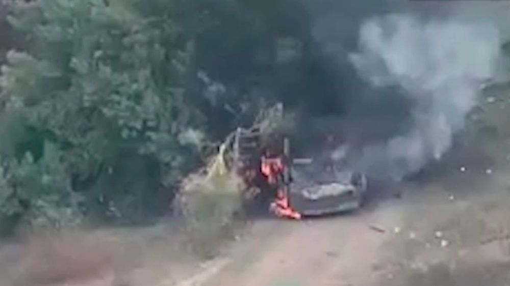 ���������� ���� � 50 ������ � ������� ����� �������� � ������� ��������