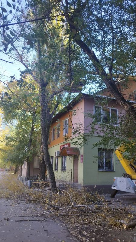 ������� ������: ������ ��� ��� "����������� �������� ������������ ������ �.�������" ��������� ������ �� ������������ � ���������� ������� ������ ������ ���������� �� ���������� ���������������� ������ ����� �� �������: