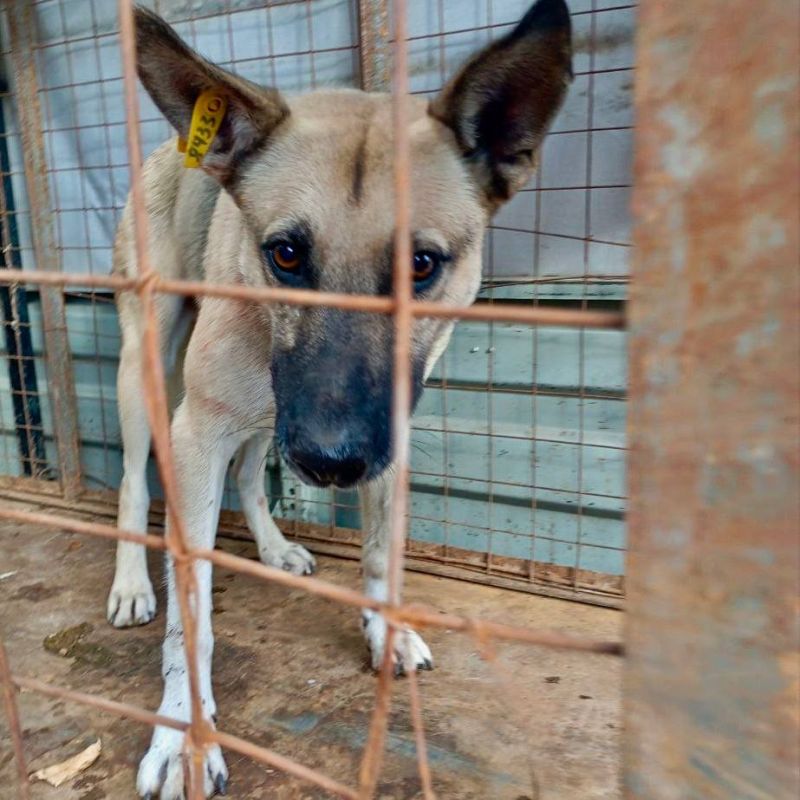 ������ ��������: ����� ��������� �������� � ������������ � ������������ �������